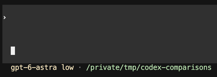 Codex terminal after opening without animations